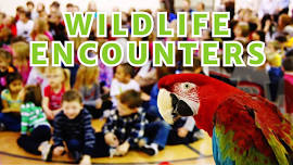 Wildlife Encounters