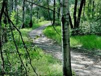 Saturday AM Hike - Lebanon Hills Holland Lake Trailhead + Lunch