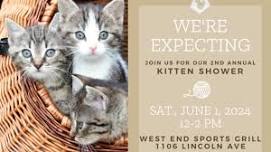 2nd Annual Kitten Shower