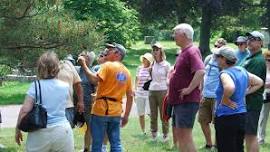 Cedar Hill Tree Walk