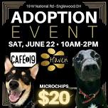 ADOPTION EVENT: Englewood