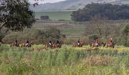 Bellevue Wine Estate Hunt, Bottelary Road