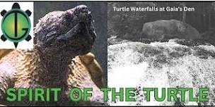 SPIRIT OF THE TURTLE:  TURTLE FUNDRAISER & OPEN HOUSE