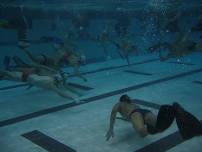 Carmody  Underwater Hockey Practice