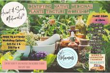 Identifying Native Medicinal Plants & Tincture Workshop