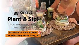 Plant & Sip: Air Plant Terrarium Workshop