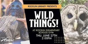 Wild Things at the Rocklin Elementary School Gym