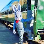 Easter Bunny Express