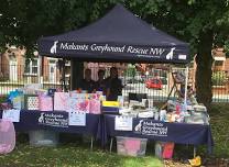 Fundraising stall at the Ashton in Makerfield Big Family Festival