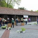 Meadow Brook Plant Sale