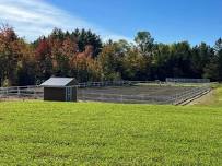 Fundraiser Equitation Show at Crow Hop Farm