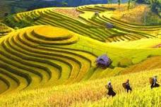 Full day - Biking tour in Sapa