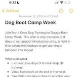 BOOTCAMP! 1 Week Aup 12-16th