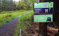 Self-Guided Easy Naturalist: Signs of Spring, Parsons Marsh in Lenox