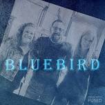 Bluebird live at P2's Irish Pub