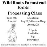 Rabbit Processing Class