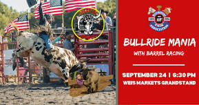 Bullride Mania