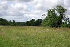 July Guided Heritage Walk: Berwick Glades and Bonnetts Wood.