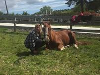 Equine Practitioner Course