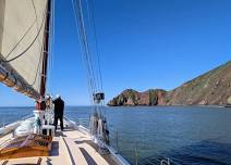 Marine Wildlife and Ecology - Sail under the Golden Gate Bridge 2024