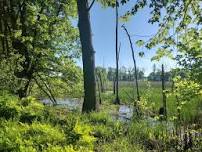 Summer Nature Series: The Wonderful World of Wetlands — South Hero Land Trust