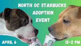 Love Us A Latte Adoption Event