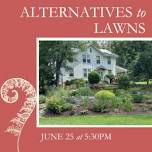 Alternatives to Lawns