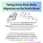 Taking Notes from Birds: Migration on the North Shore