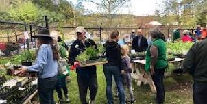 Plant Sale for the Community — The Hanover Garden Club (NH)