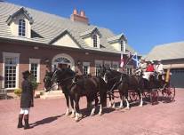 Sporting Day of Traditional Driving