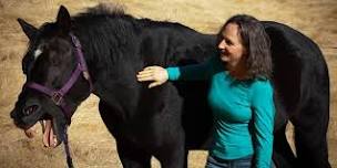 Acupressure for Equine Emergencies