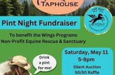 Pint Night Fundraiser for Wings