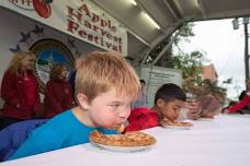 Southington Apple Harvest Festival