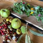 Forage and Feast @ Harts Barn — Rob Gould, Cotswold Forager