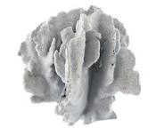 Vintage Blue Grayish Reef Petrified Coral Specimen