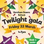 Horsham Downs School Twilight Gala