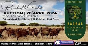 Baobab Kalahari Red Group Bushveld Gold Auction