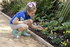 Camp: Garden Detectives Summer Camp