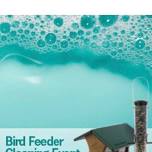 Spring Bird Feeder Cleaning