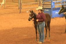 NO BULL NO BLING RANCH HORSE SHOW SERIES