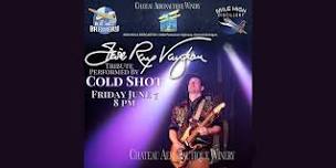 Stevie Ray Vaughan Tribute by Cold Shot