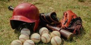 Florida International Panthers at Liberty Flames Baseball