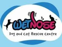 Visit Wetnose Animal Rescue Centre