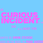 The Curious Incident of the Dog in the Night-Time