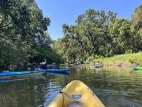 Guided Paddle along the Cosumnes River