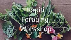 Kapiti Foraging Workshop Sunday 9th June