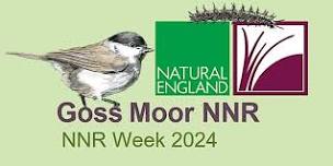 NNR Week 2024 - Goss Moor Bioblitz