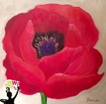 Red Poppy