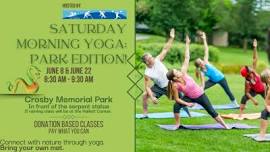 Saturday Morning Yoga in the Park