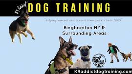 Group Obedience & Trick Class Bainbridge NY